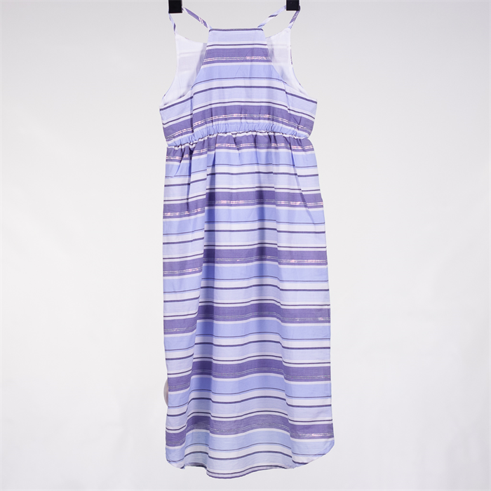 Stripe Printed Dress