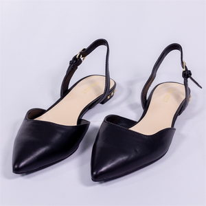 Pointed Toe Flats